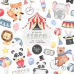 Circo - Kit Digital